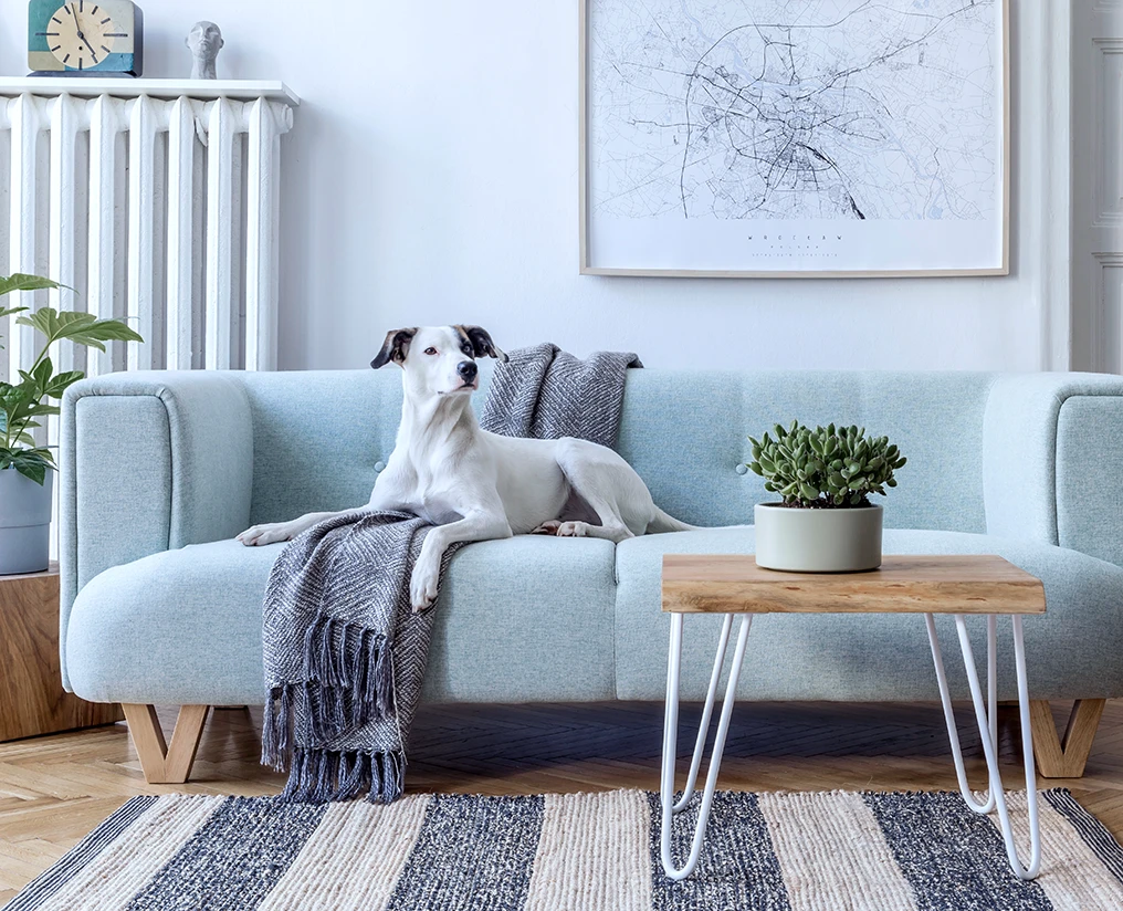 pet-friendly alarms
